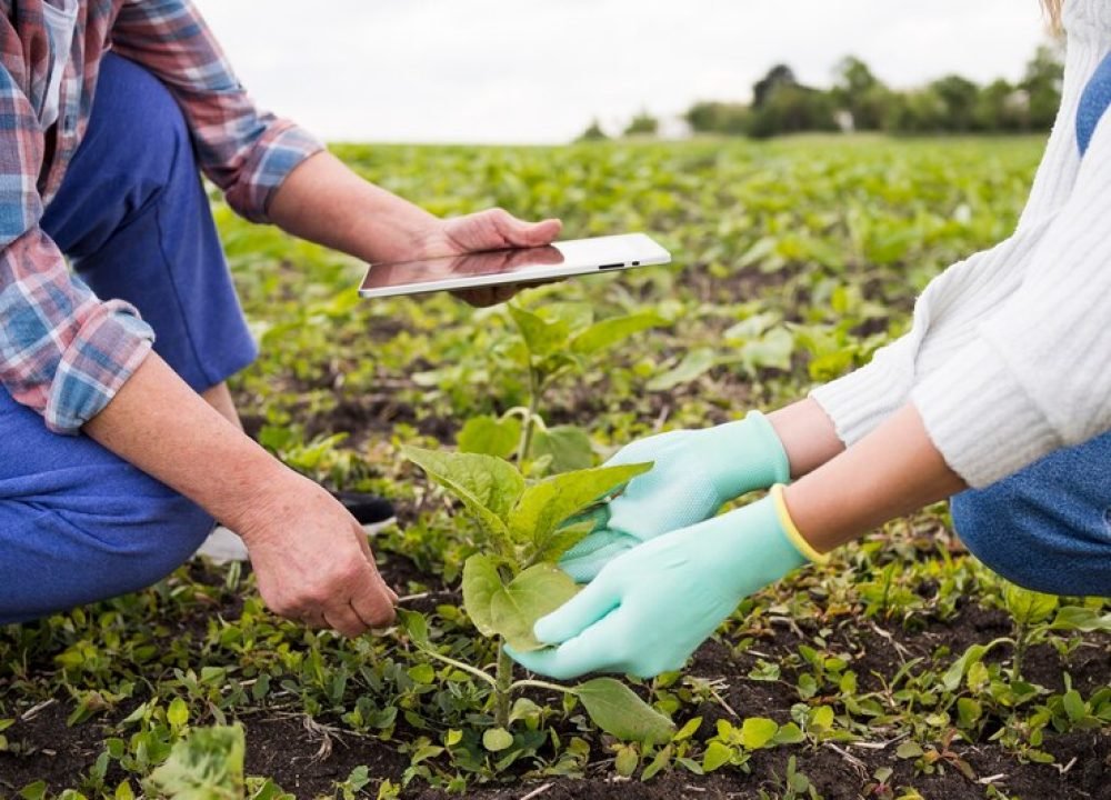 people-farming-together-close-up_23-2148580009
